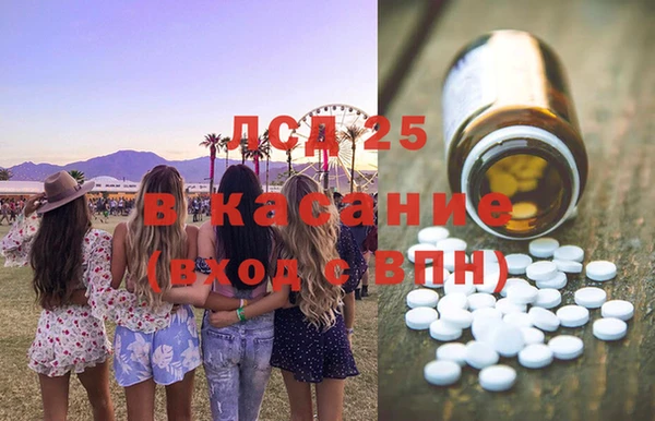 spice Богданович